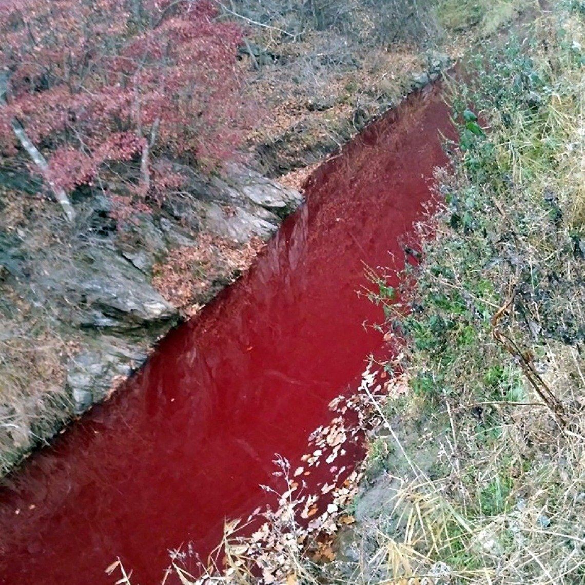 韓朝邊境驚現「血河」