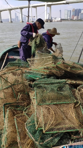 海事局海關清理30支漁標及千米長蟹籠