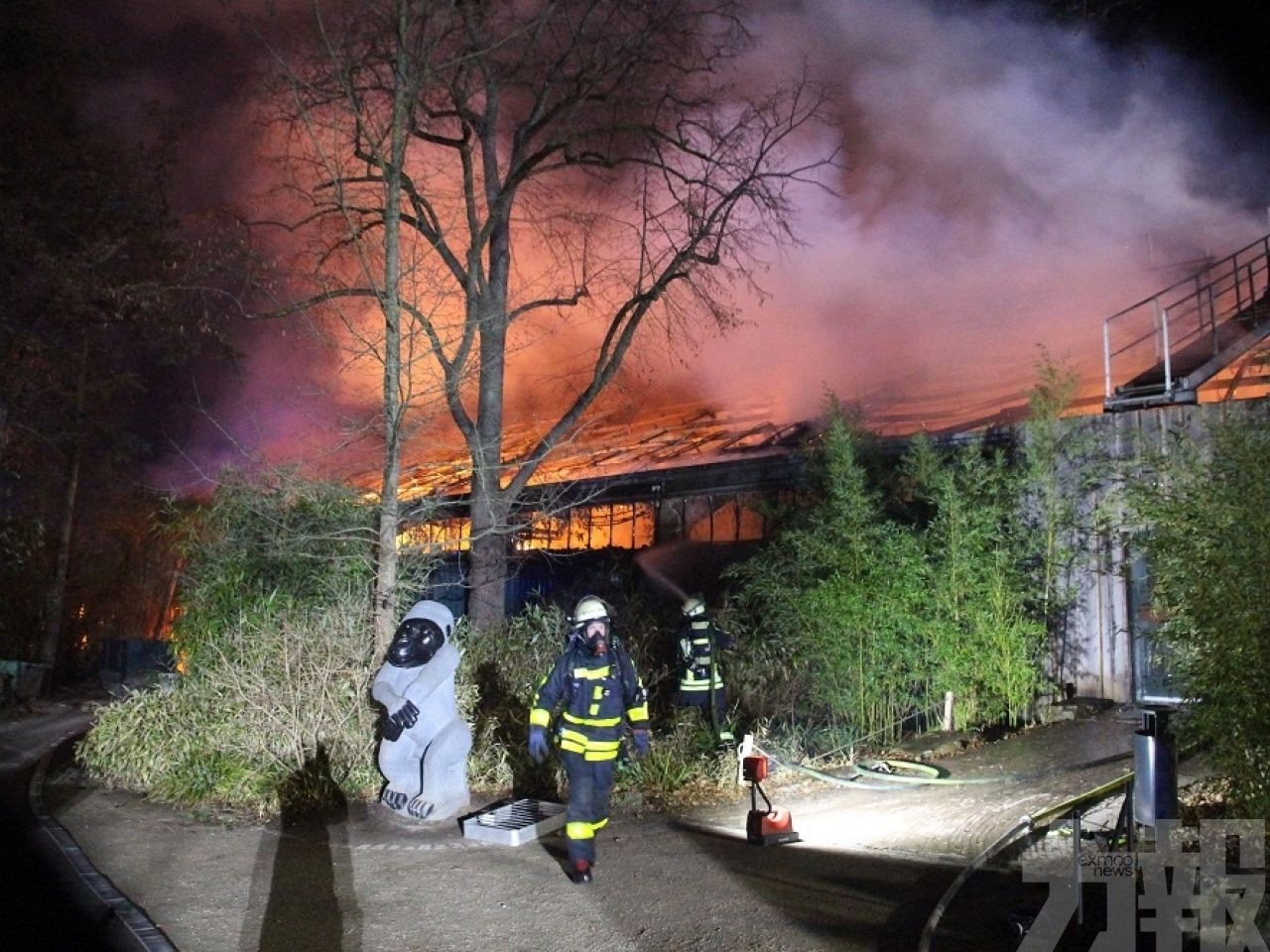 德國動物園大火 逾30隻動物被燒死