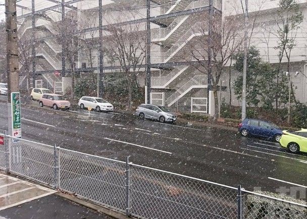 【遊日注意】東京現2020年初雪