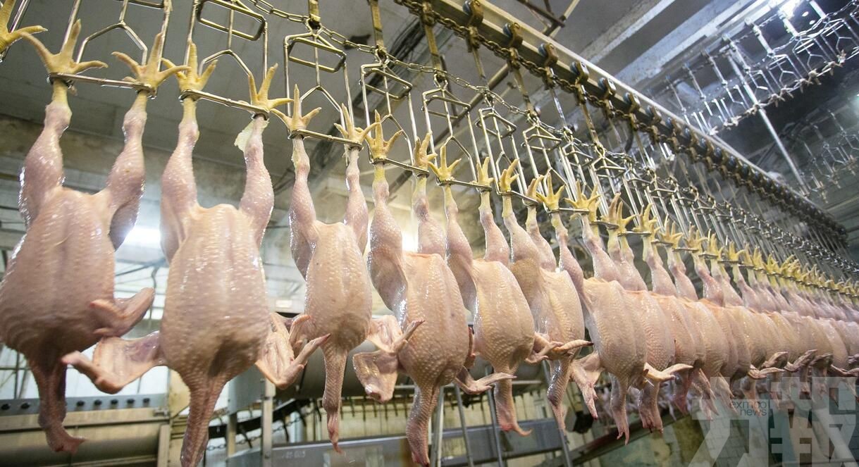 美國禽肉被禁輸華5年後回歸中國市場