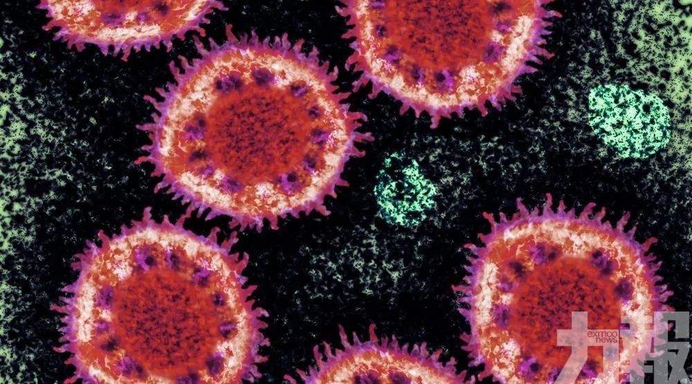 本澳新增三例新型冠狀病毒病例