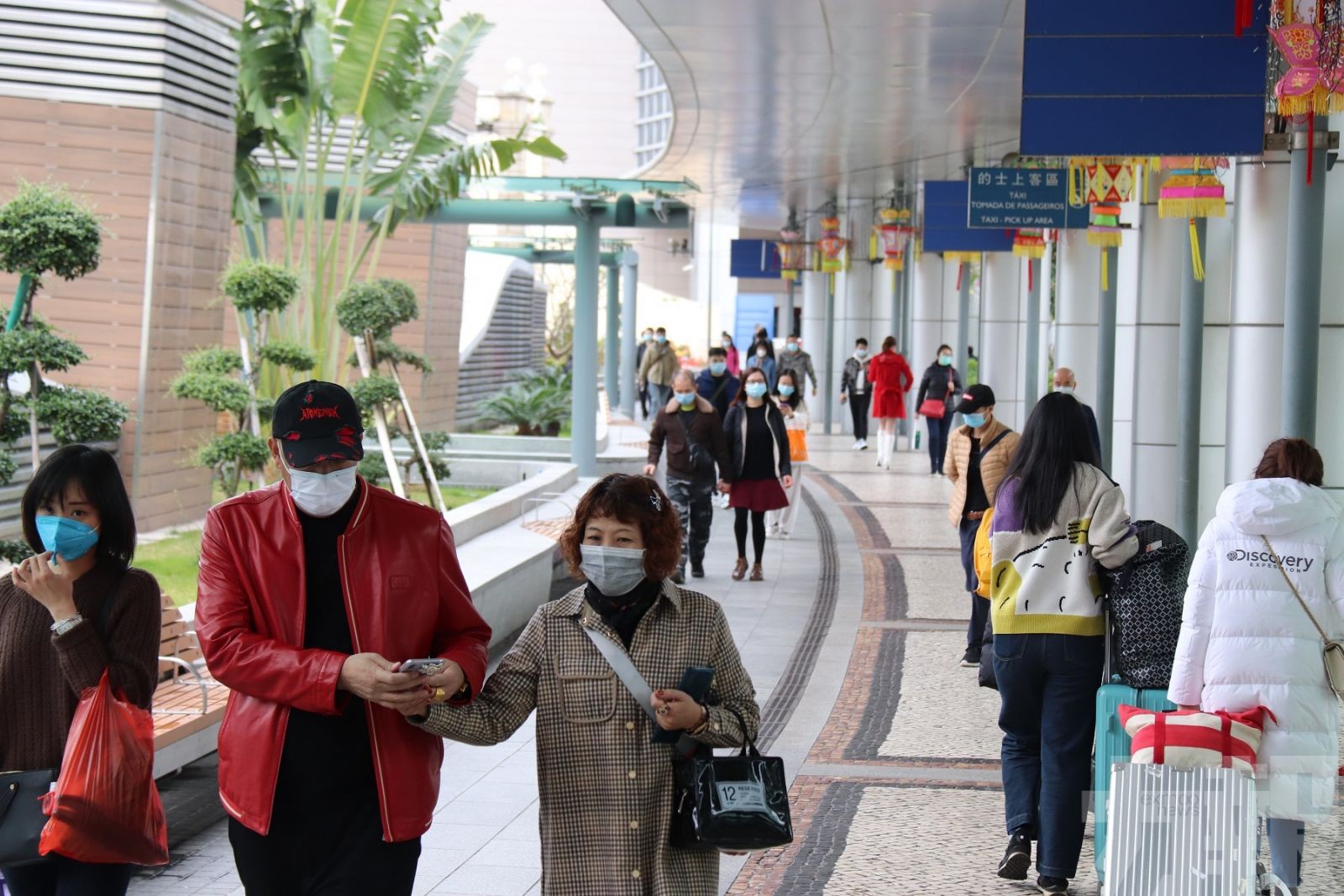 港珠澳大橋出入境「逆市」升逾三成