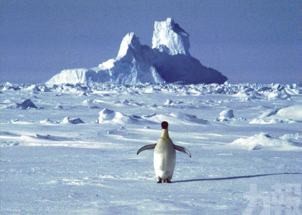 南極大陸測得18.3°C氣溫