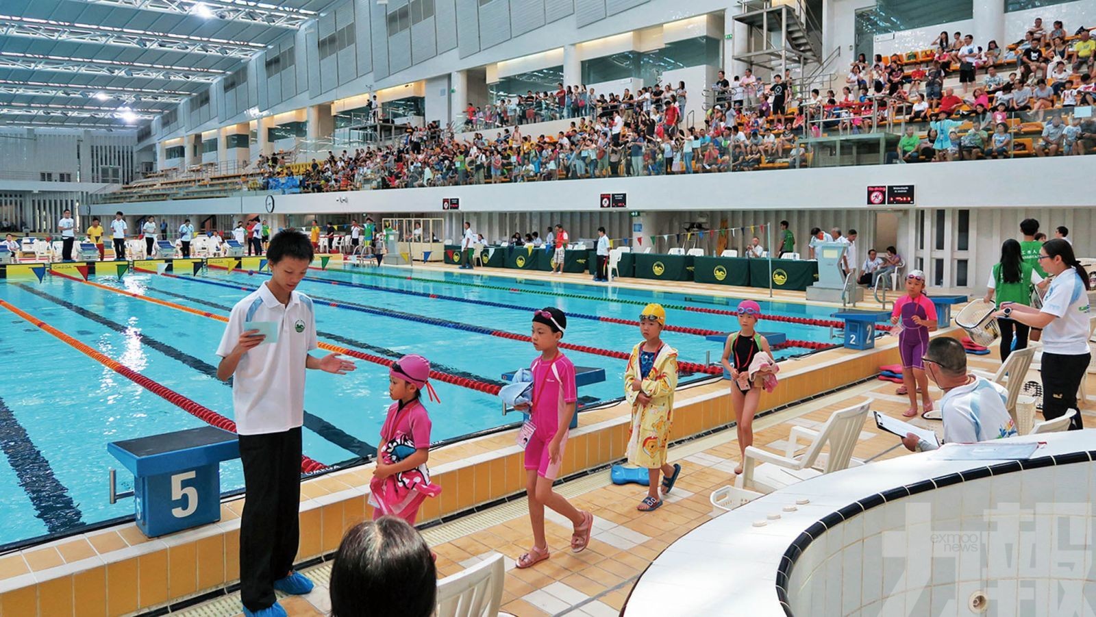 麥炳耀：大眾班游泳教練手停口停！