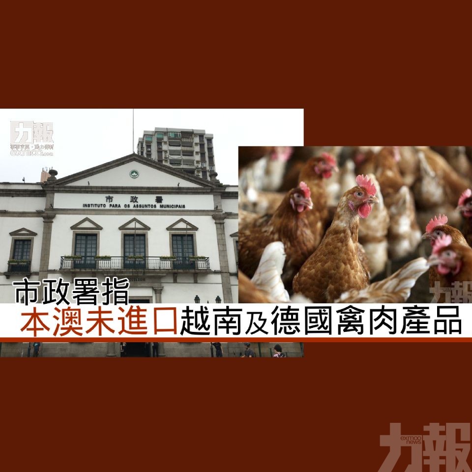 市政署指本澳未進口越南及德國禽肉產品