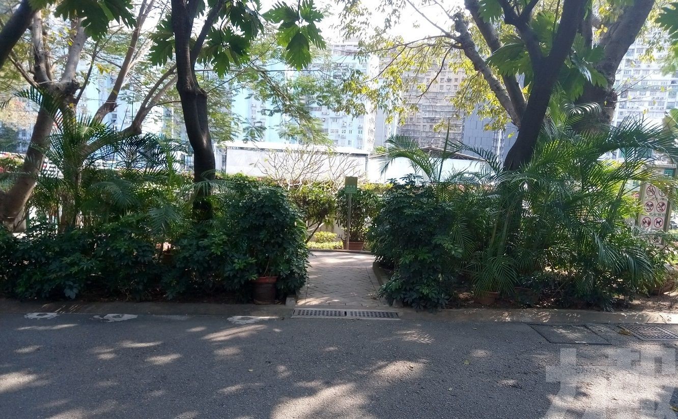 周日起全澳公園全面禁煙