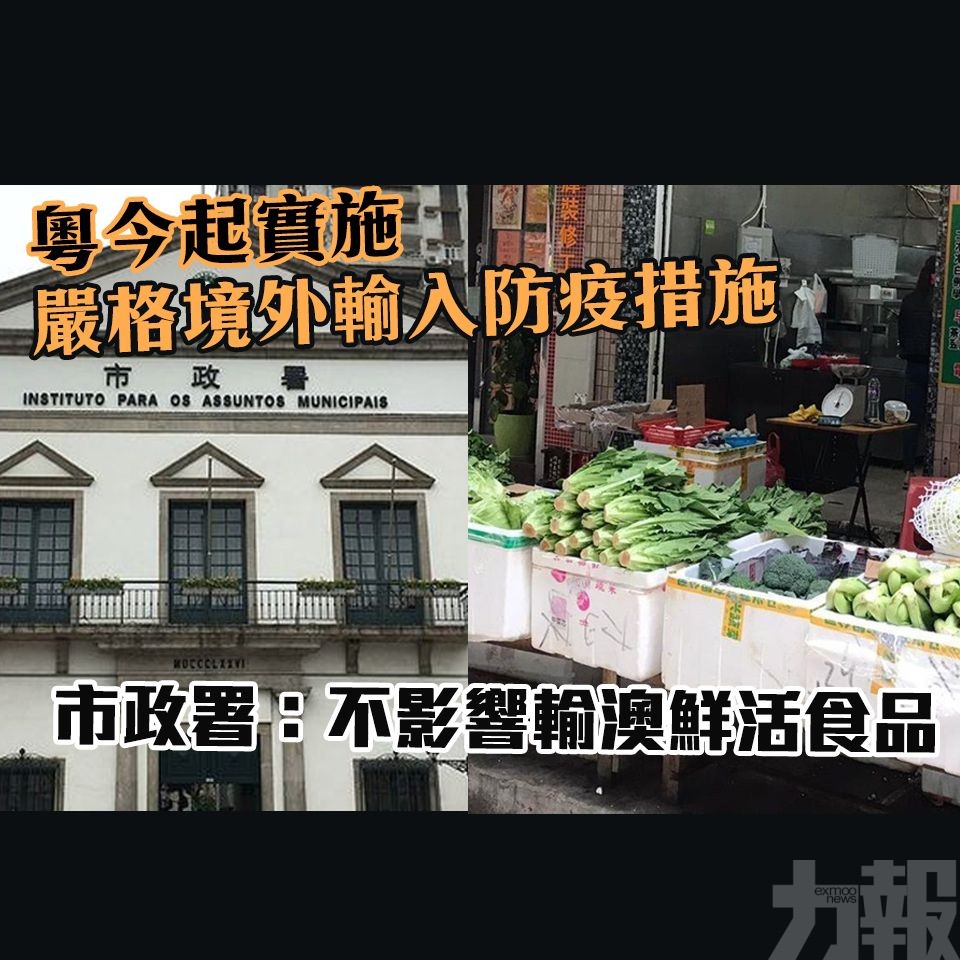 市政署：不影響輸澳鮮活食品