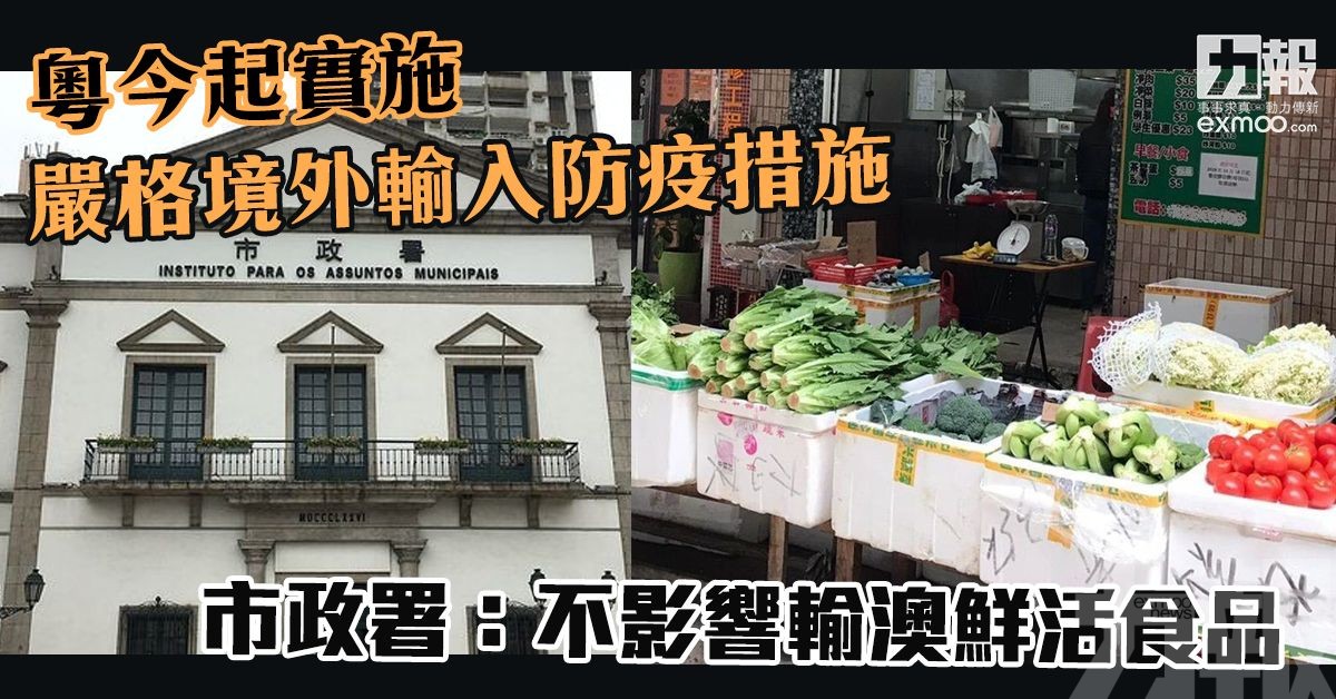 市政署：不影響輸澳鮮活食品