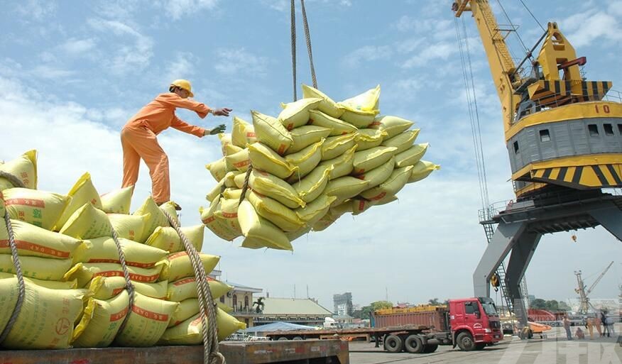 越南將收儲27萬噸稻米並停止出口