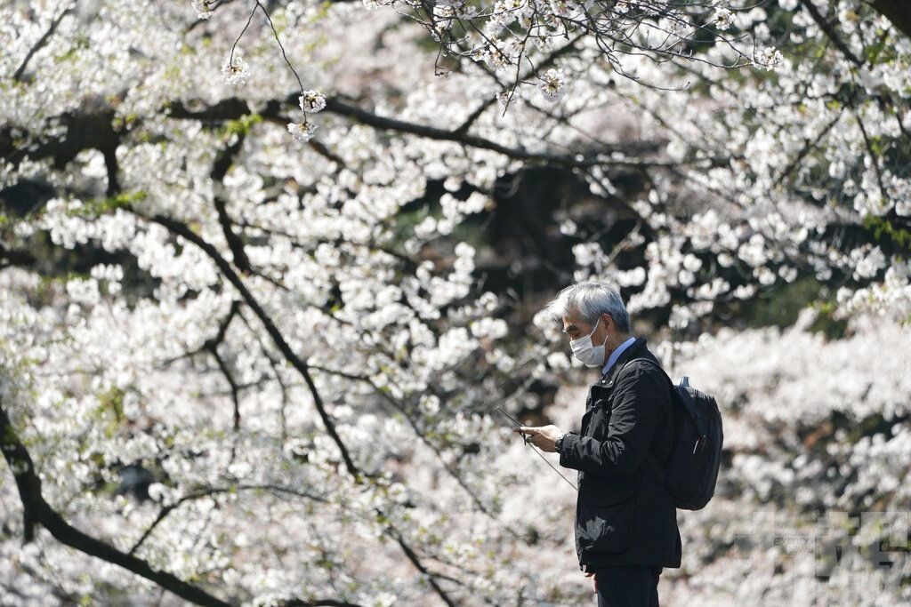 東京都單日新增破百創新高