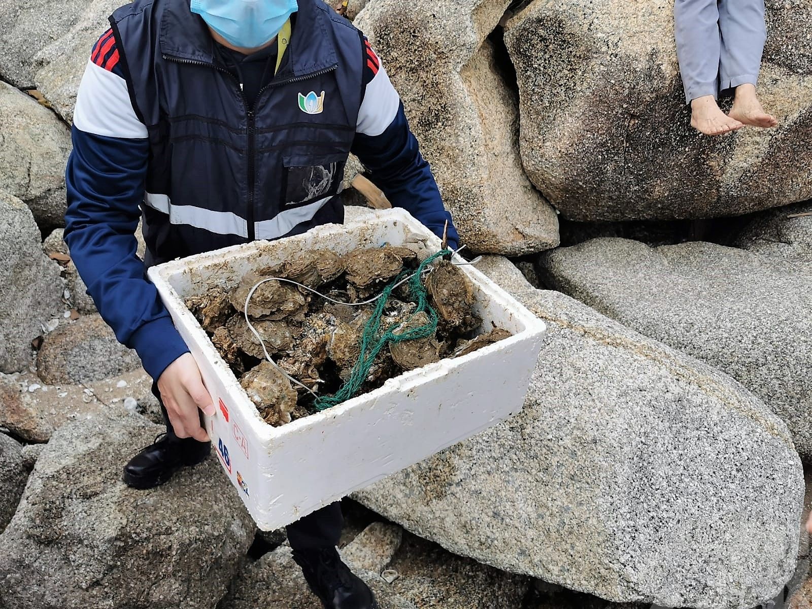 沿岸採捕水生野生動物可被檢控