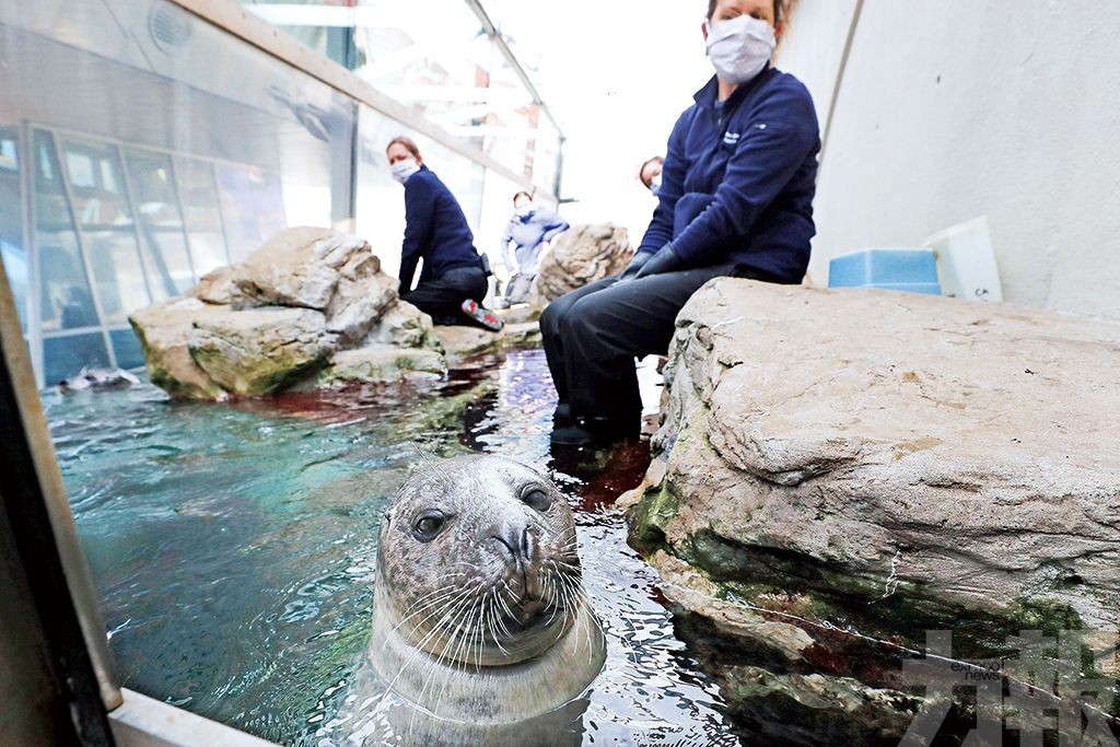 德動物園動物恐被迫吃同伴