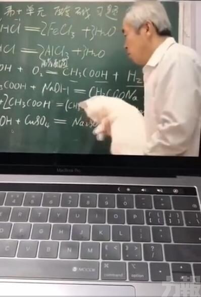 網民：我的化學課是貓教的