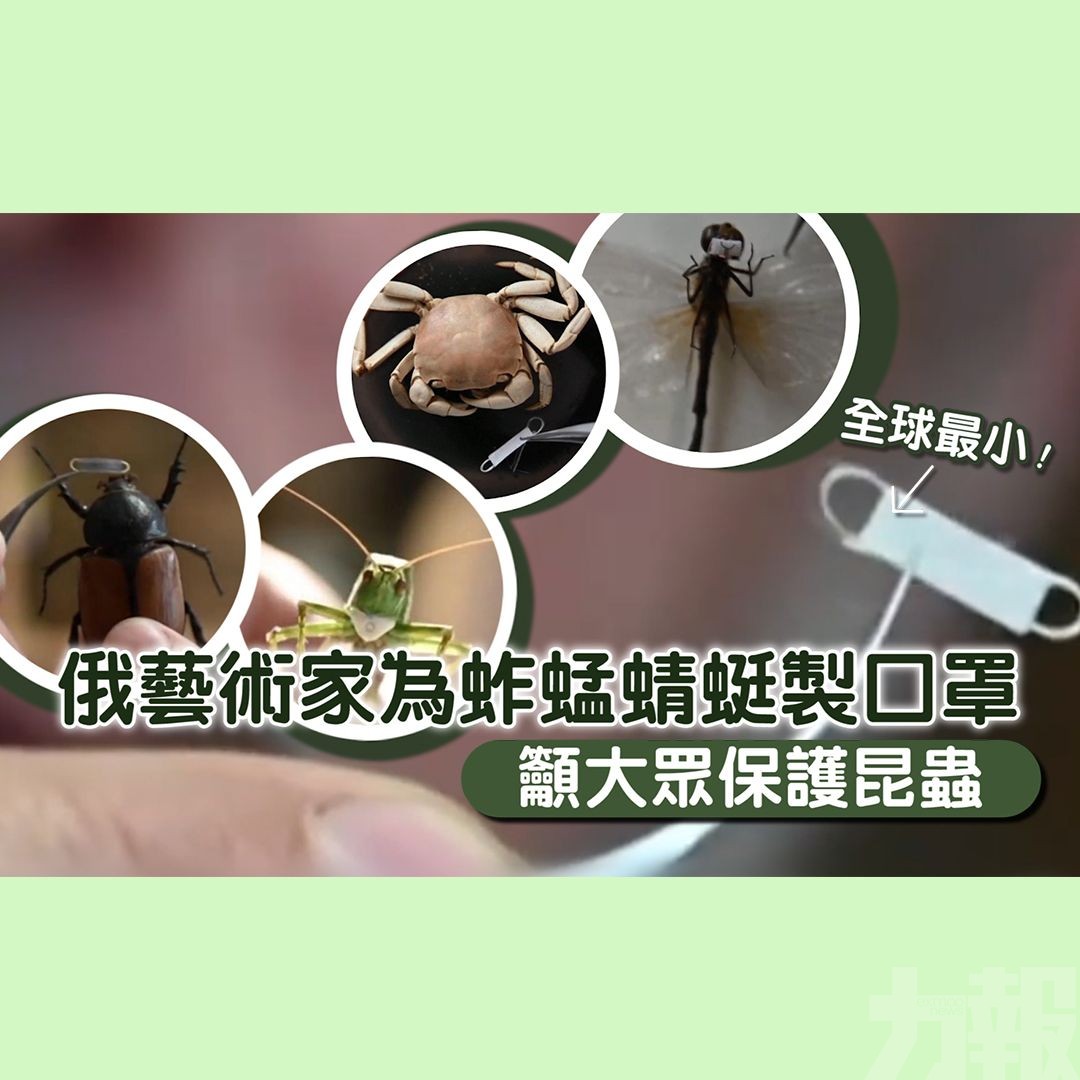 俄藝術家為蚱蜢蜻蜓製口罩 籲大眾保護昆蟲