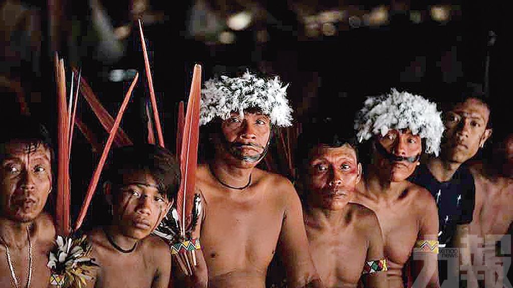 巴西原住民恐遭滅族