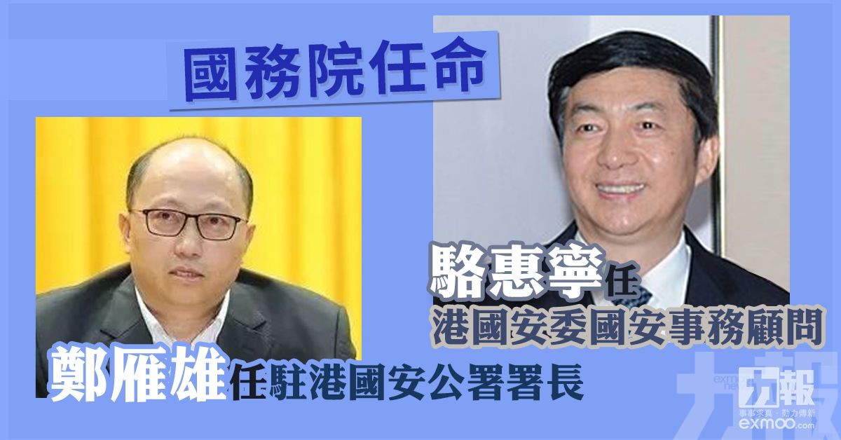 駱惠寧任港國安委國安事務顧問