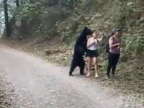 女子無懼拿手機與熊自拍