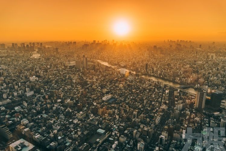 東京本月增至79人中暑死亡