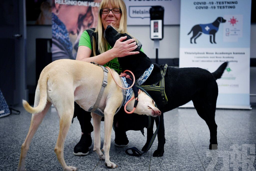 ​芬蘭機場派特訓狗探測新冠病毒