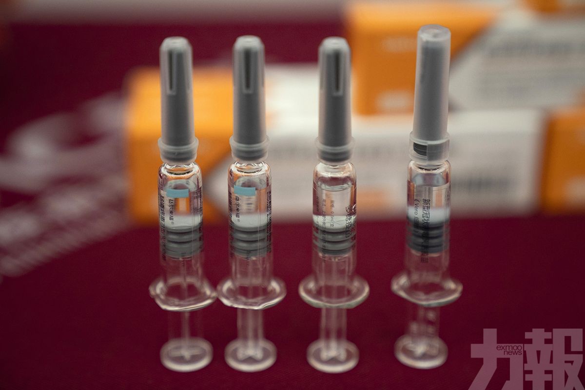 世衛證台灣已加入全球採購疫苗平台