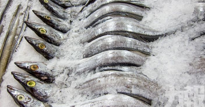 內地從巴西進口凍帶魚外包裝檢出新冠病毒