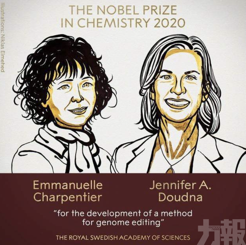 兩女科學家獲諾貝爾化學獎