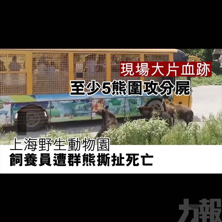 上海野生動物園飼養員遭群熊撕扯死亡