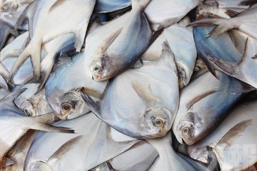 中國海關總署：暫停相關企業進口申報一周