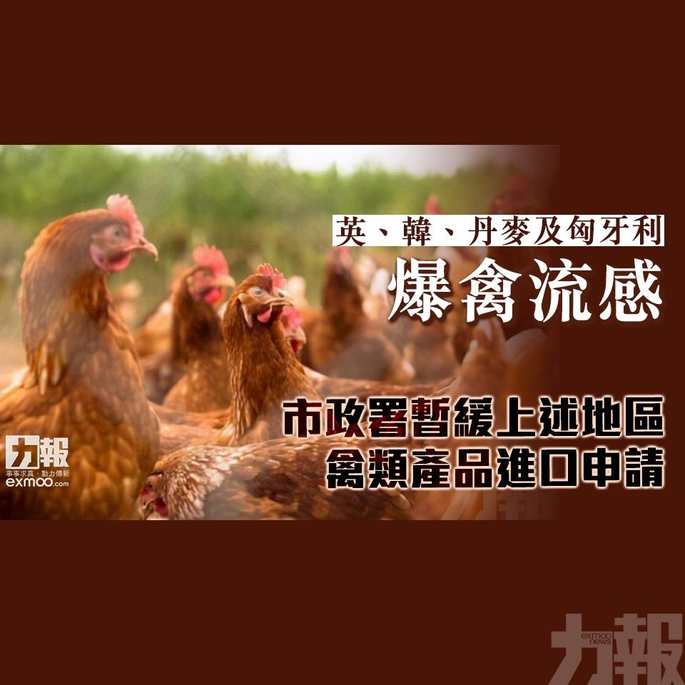市政署暫緩上述地區禽類產品進口申請