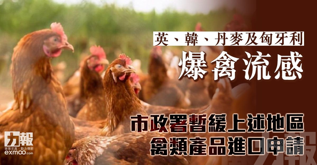 市政署暫緩上述地區禽類產品進口申請