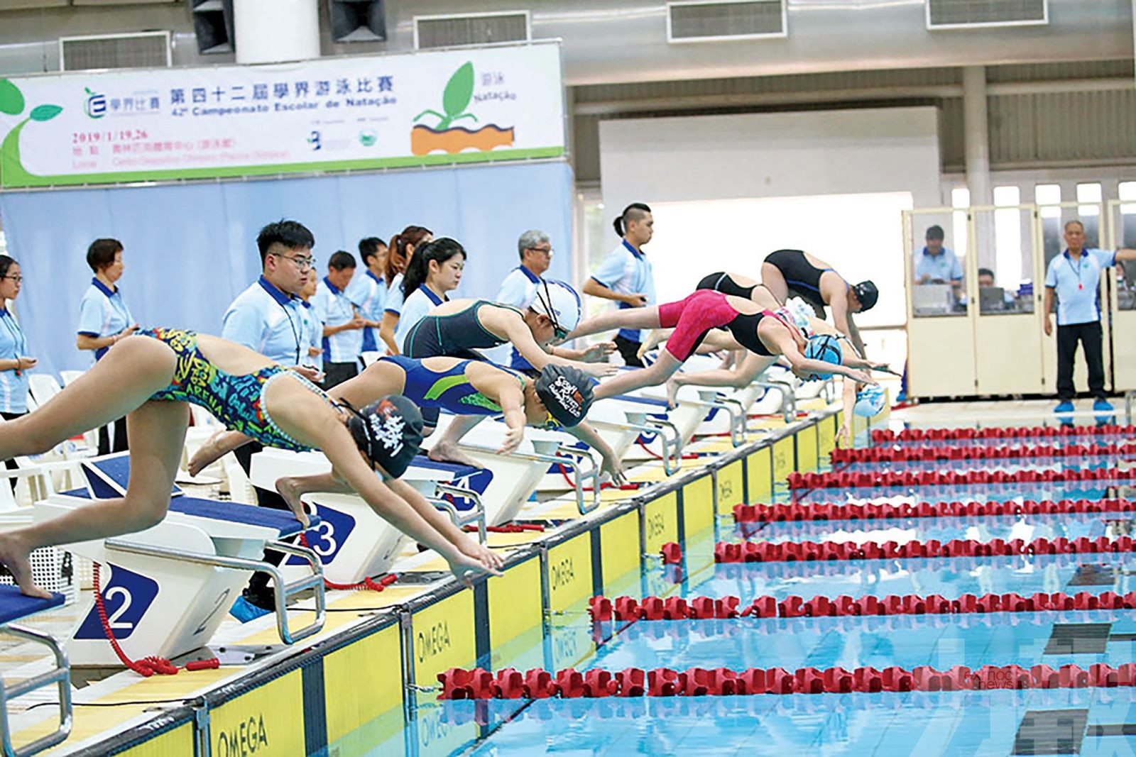 學界游泳賽周末奧體中心揭戰