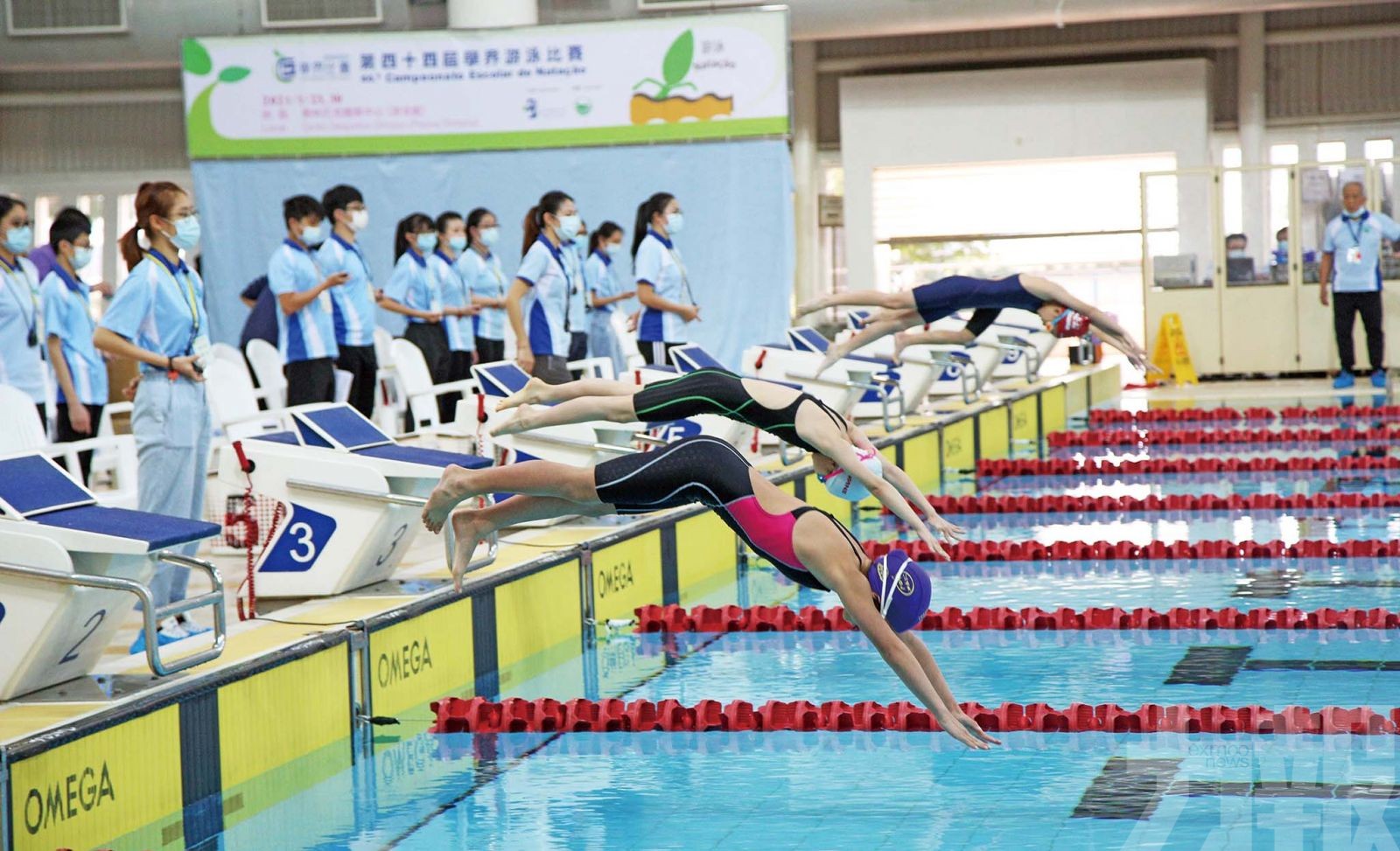 學界游泳首場比賽刷新10項大會紀錄