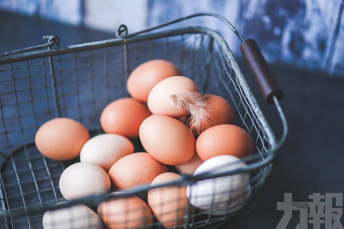 【日本禽流感】茨城縣養雞場將撲殺84萬隻雞
