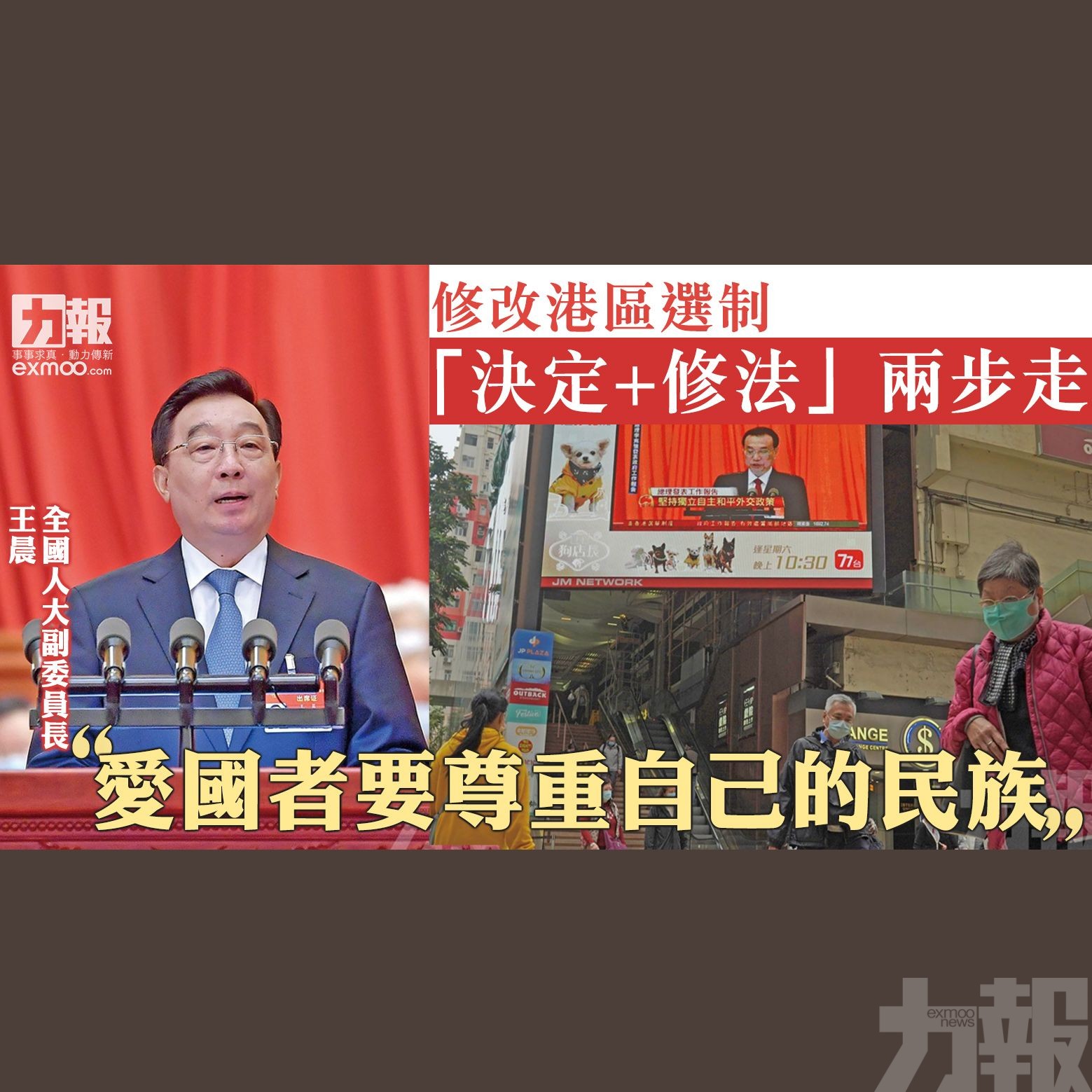 王晨：愛國者要尊重自己的民族