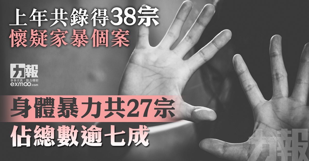 身體暴力共27宗佔總數逾七成