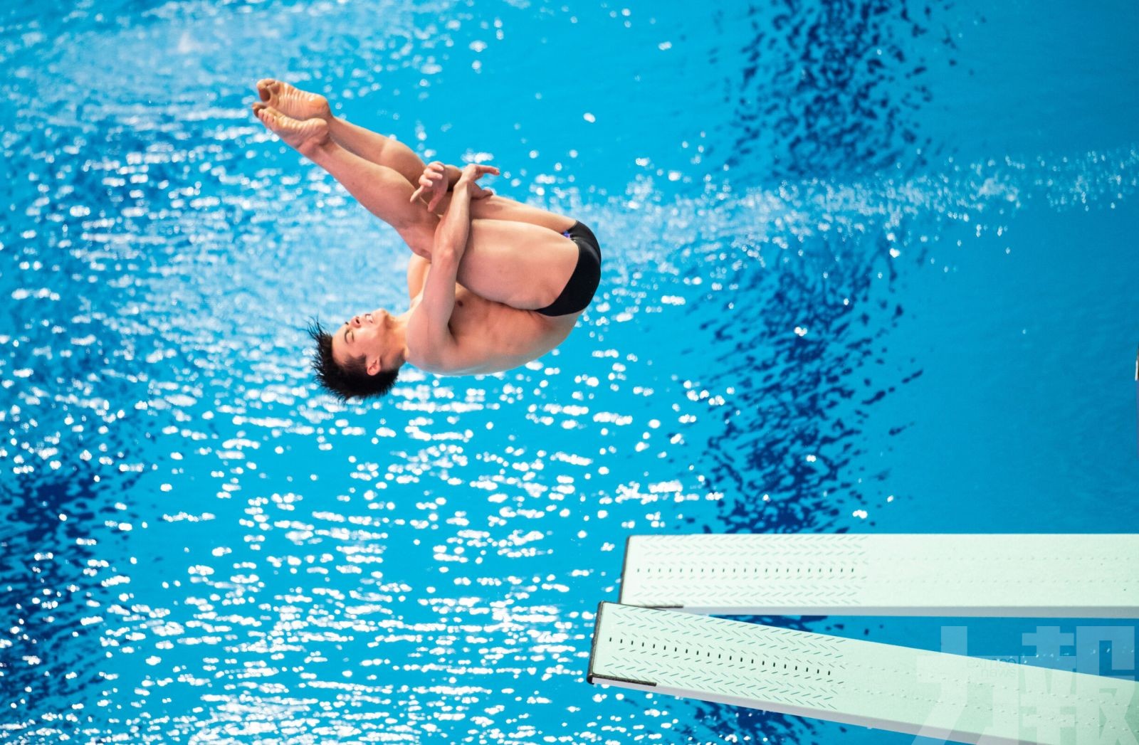 國際泳聯取消跳水世界盃