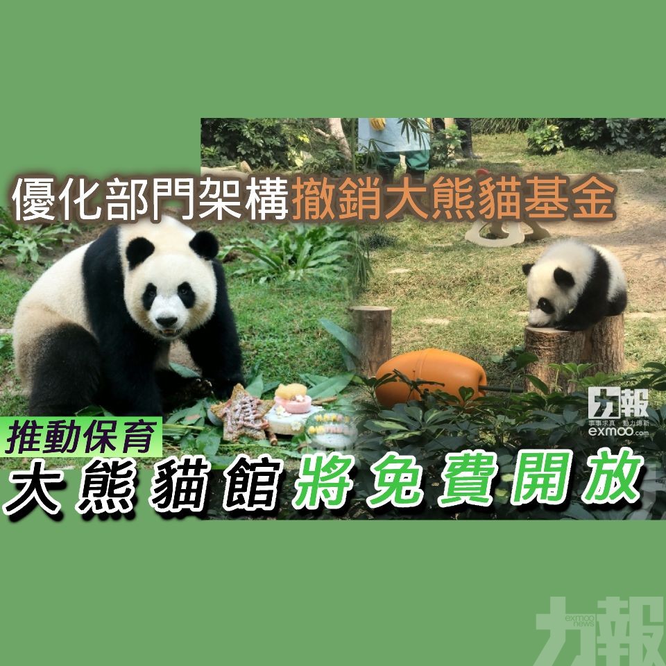 推動保育 大熊貓館將免費開放