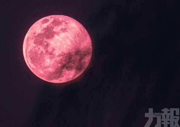 「超級粉紅月亮」今晚登場！