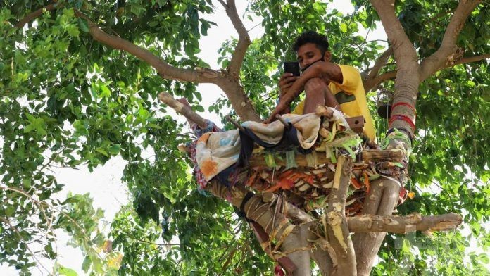 印度男子被迫樹上隔離11天