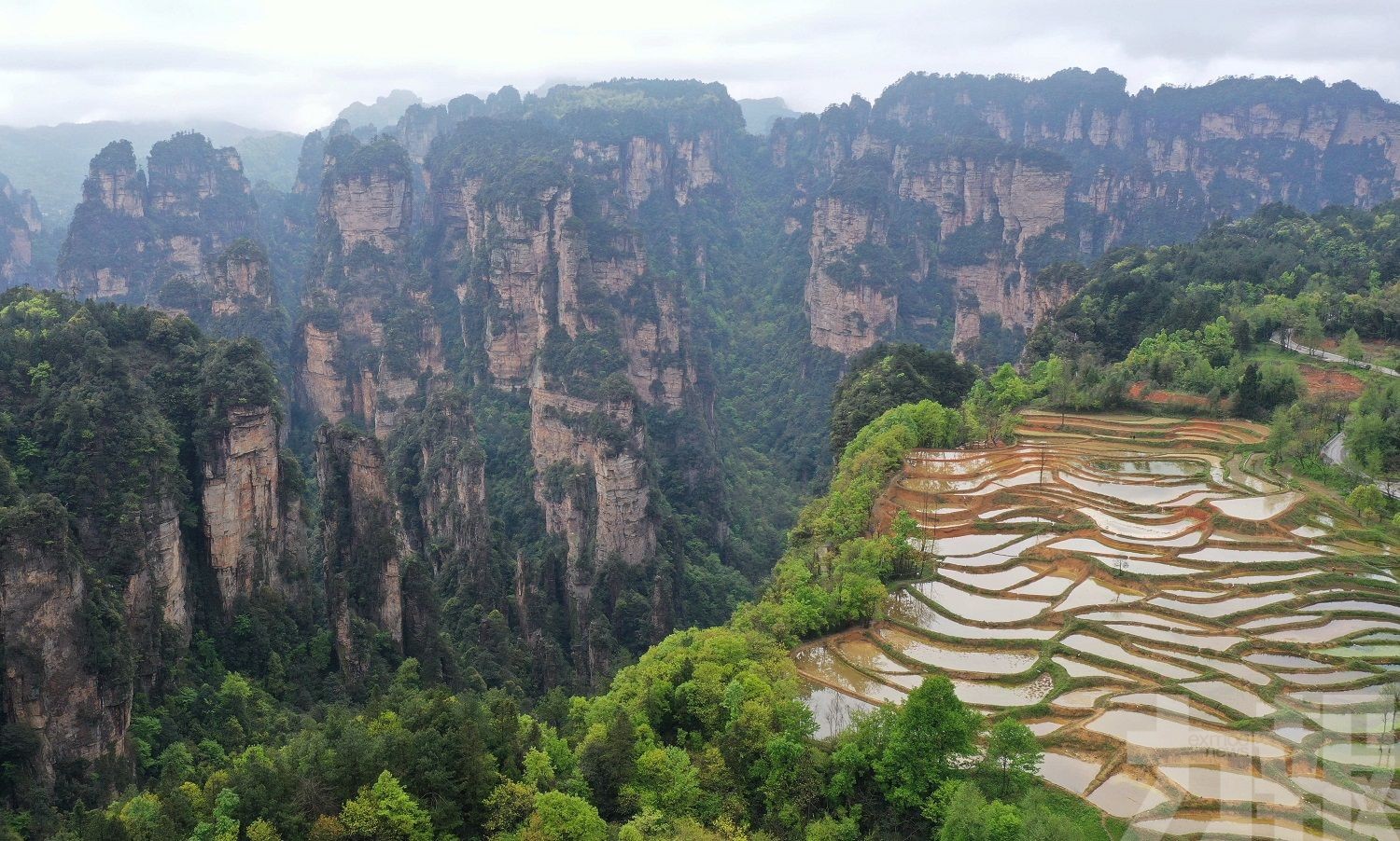 當地呼籲旅客暫不要前往觀光