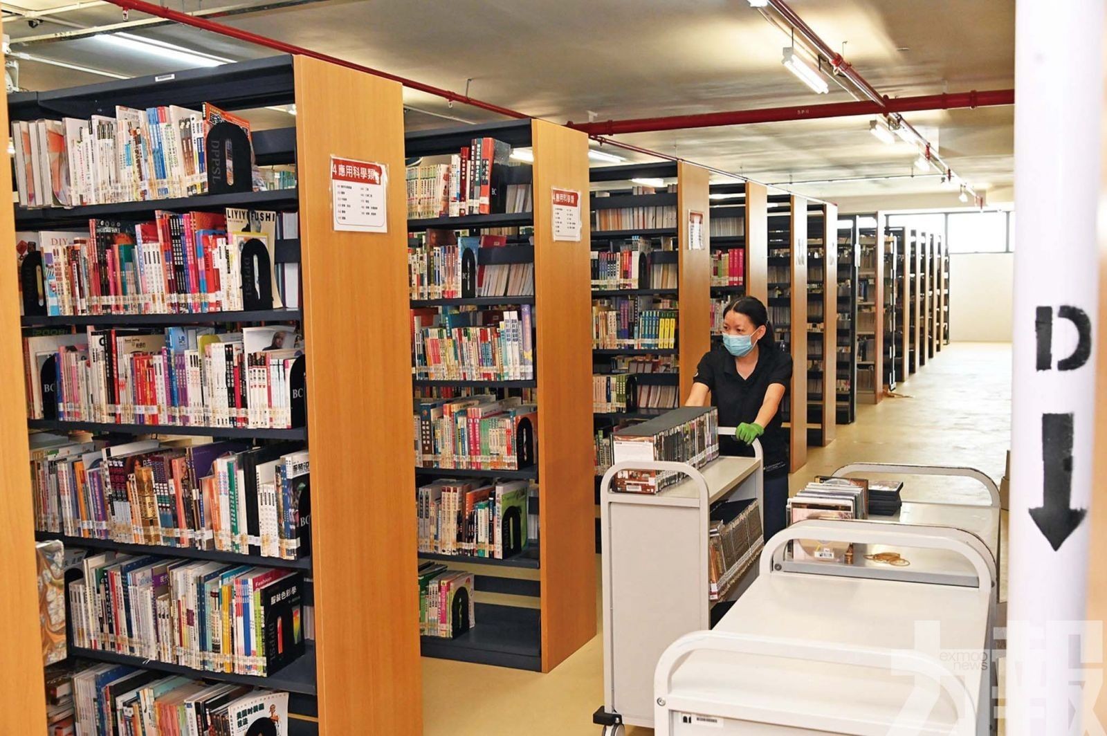 文化局宣布公共圖書館延長還書期