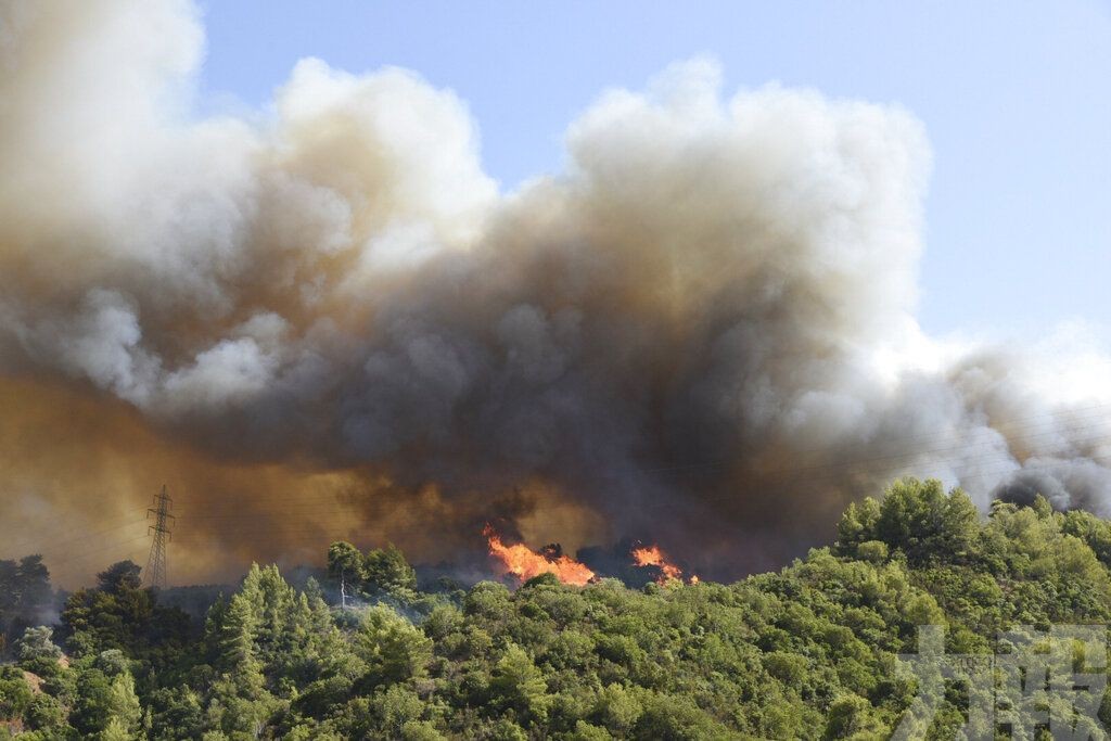 地中海沿岸多國山火蔓延