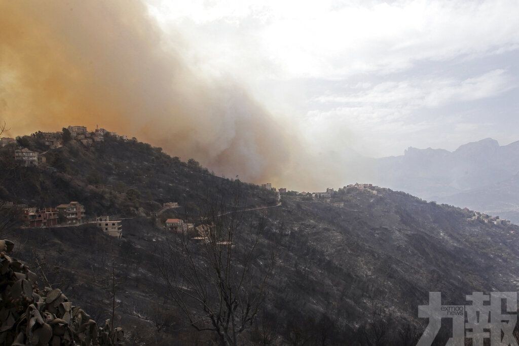 阿爾及利亞山火至少42人死亡