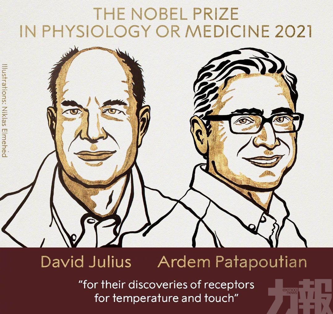 美國兩科學家獲獎
