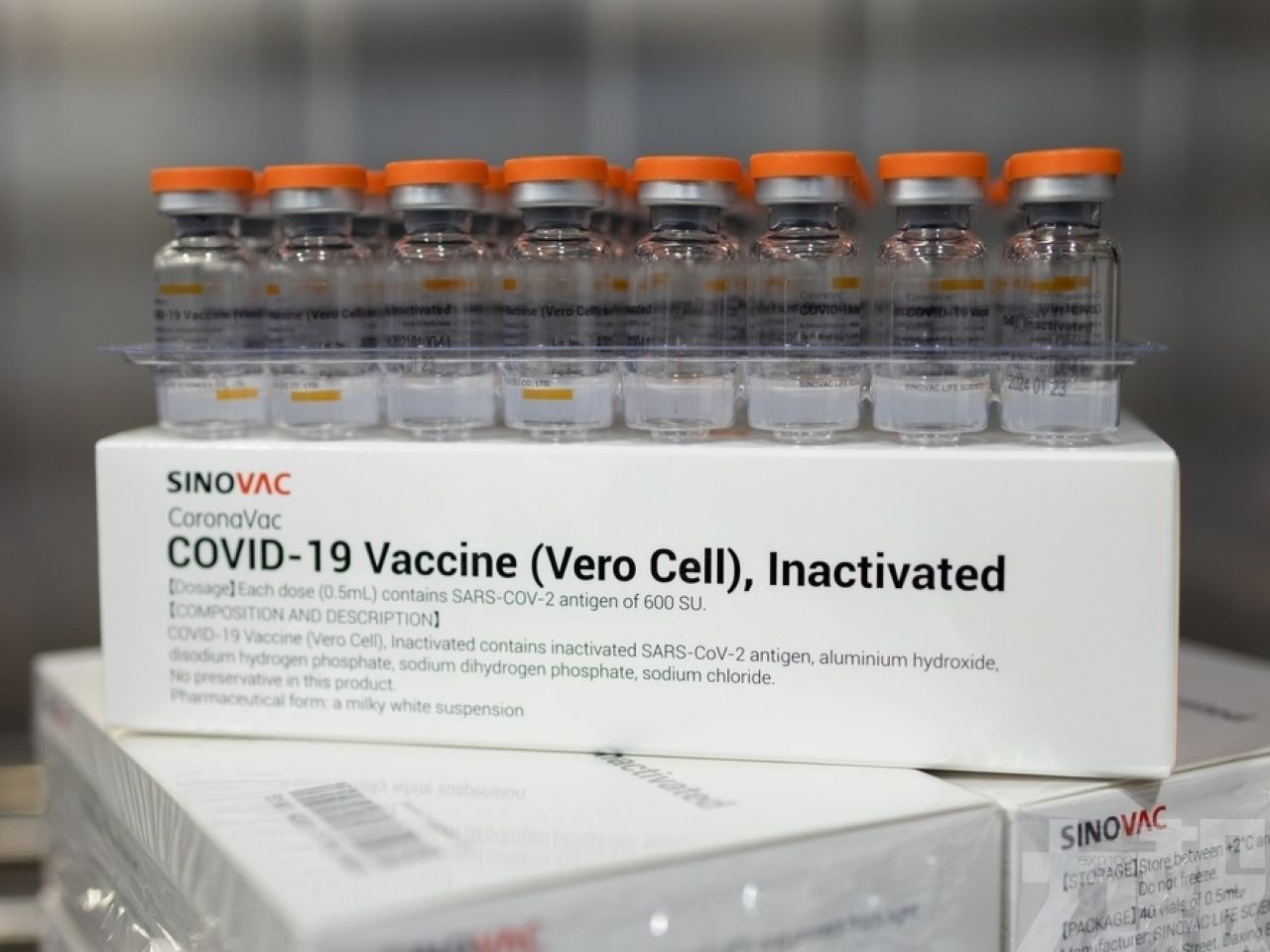 旅客接種世衛核准六款疫苗可入境