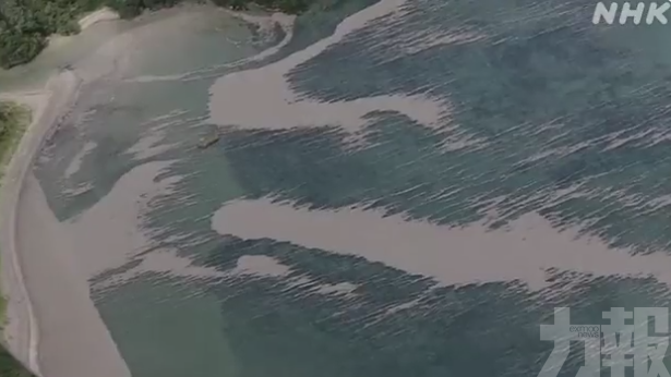 日本沖繩海灘大面積死魚漂浮