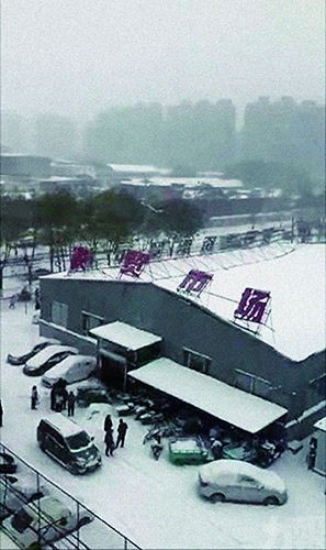 農貿市場坍塌 市民穿滑雪板出行