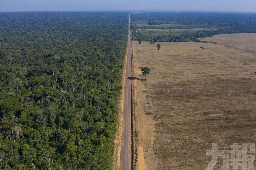 亞馬​遜被砍伐規模創逾15年新高