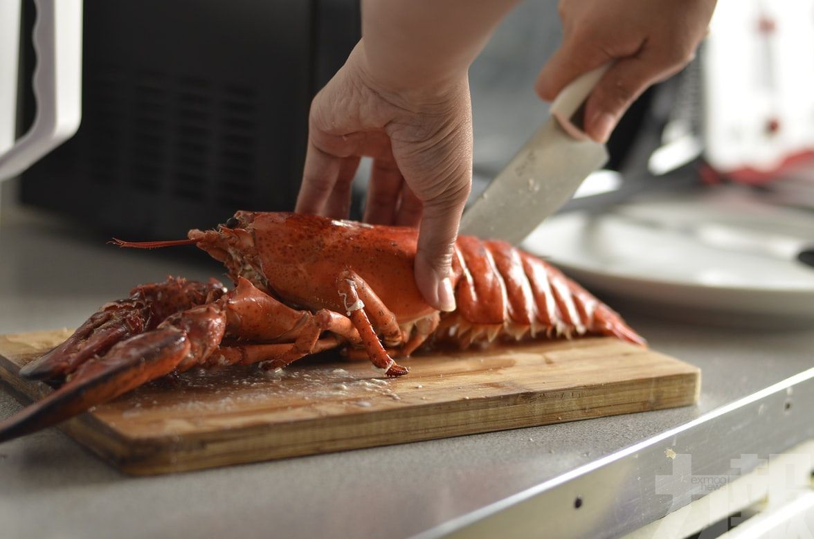 英國擬立法禁止活煮龍蝦螃蟹八爪​魚